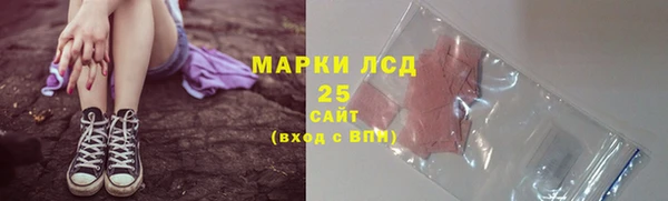 ПСИЛОЦИБИНОВЫЕ ГРИБЫ Алзамай