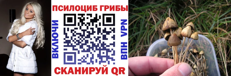 купить наркоту  Старая Купавна  Псилоцибиновые грибы мухоморы 