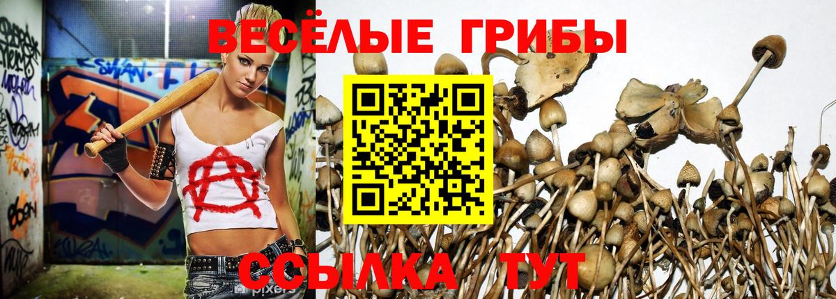 Псилоцибиновые грибы MAGIC MUSHROOMS  Псилоцибиновые грибы прущие грибы  Вход с VPN  Старая Купавна 