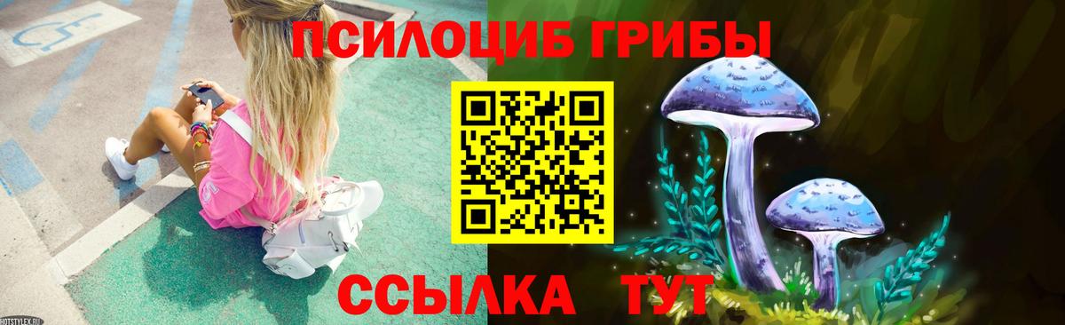 Псилоцибиновые грибы прущие грибы Старая Купавна
